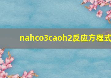 nahco3caoh2反应方程式