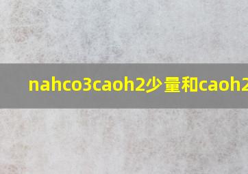 nahco3caoh2少量和caoh2过量