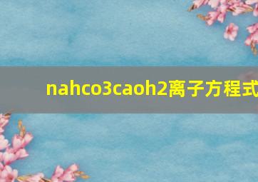 nahco3caoh2离子方程式