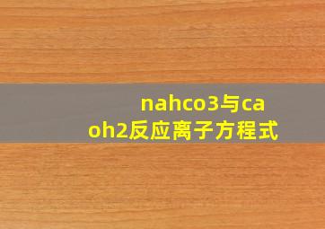 nahco3与caoh2反应离子方程式