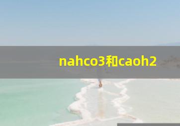 nahco3和caoh2