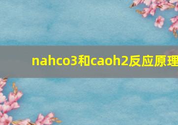 nahco3和caoh2反应原理