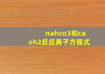 nahco3和caoh2反应离子方程式