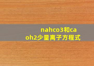 nahco3和caoh2少量离子方程式