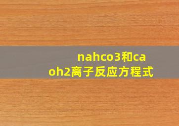 nahco3和caoh2离子反应方程式