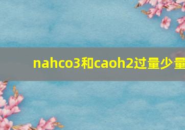 nahco3和caoh2过量少量