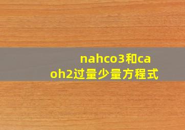 nahco3和caoh2过量少量方程式