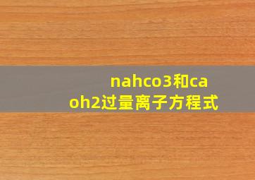 nahco3和caoh2过量离子方程式