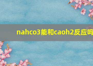 nahco3能和caoh2反应吗