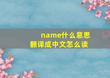 name什么意思翻译成中文怎么读