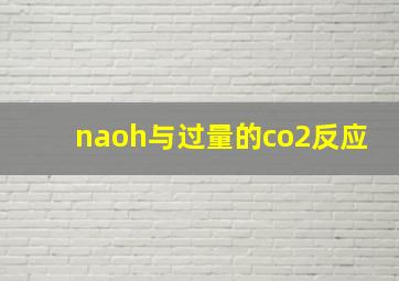 naoh与过量的co2反应