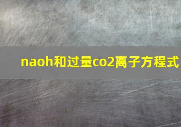 naoh和过量co2离子方程式