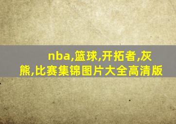 nba,篮球,开拓者,灰熊,比赛集锦图片大全高清版