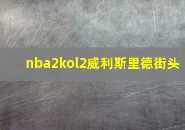 nba2kol2威利斯里德街头