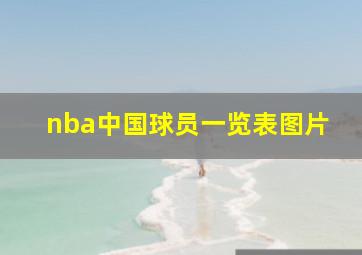 nba中国球员一览表图片