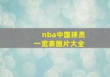 nba中国球员一览表图片大全