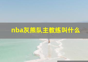 nba灰熊队主教练叫什么