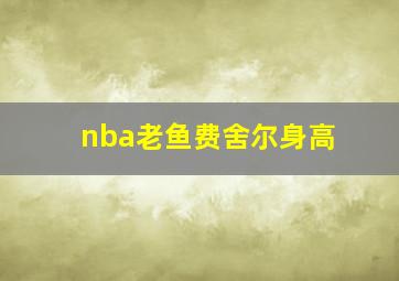 nba老鱼费舍尔身高