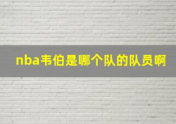 nba韦伯是哪个队的队员啊