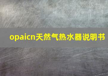 opaicn天然气热水器说明书