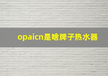 opaicn是啥牌子热水器