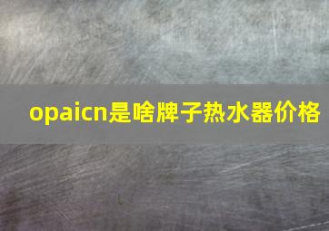 opaicn是啥牌子热水器价格