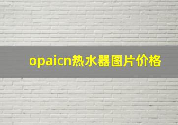 opaicn热水器图片价格