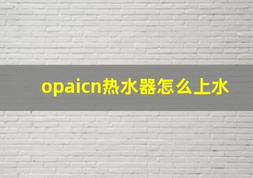 opaicn热水器怎么上水