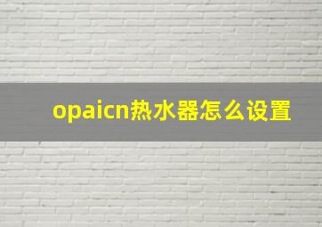 opaicn热水器怎么设置