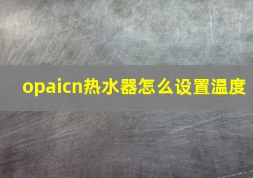 opaicn热水器怎么设置温度