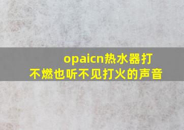 opaicn热水器打不燃也听不见打火的声音