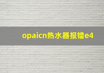 opaicn热水器报错e4