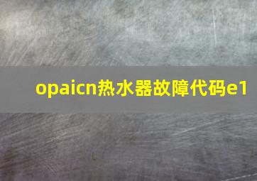 opaicn热水器故障代码e1