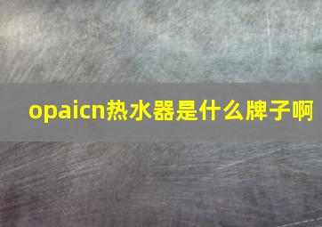 opaicn热水器是什么牌子啊