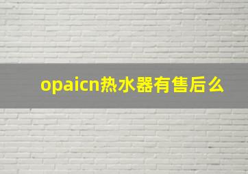 opaicn热水器有售后么