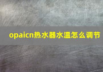 opaicn热水器水温怎么调节