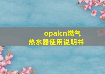 opaicn燃气热水器使用说明书