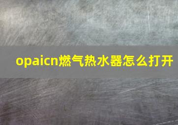 opaicn燃气热水器怎么打开