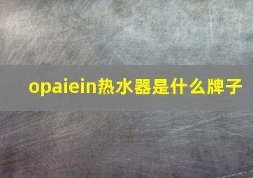 opaiein热水器是什么牌子