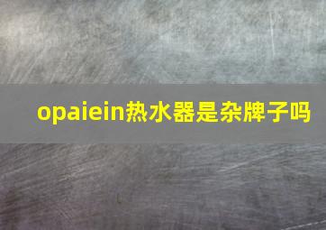 opaiein热水器是杂牌子吗