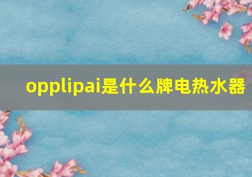 opplipai是什么牌电热水器