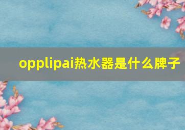 opplipai热水器是什么牌子