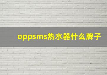 oppsms热水器什么牌子