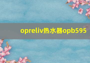 opreliv热水器opb595