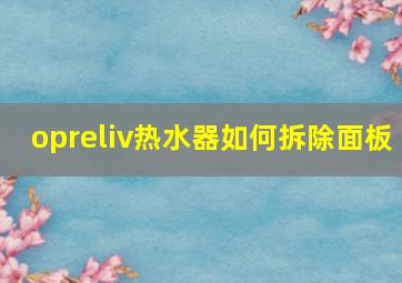 opreliv热水器如何拆除面板