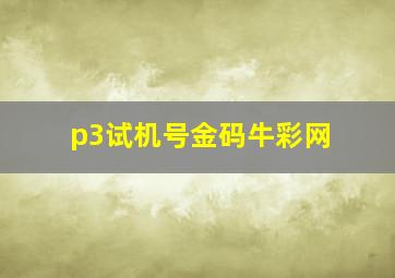 p3试机号金码牛彩网