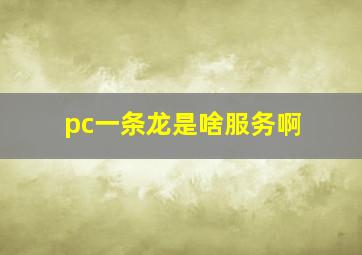 pc一条龙是啥服务啊