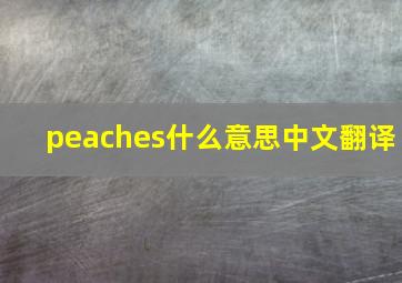 peaches什么意思中文翻译