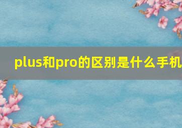 plus和pro的区别是什么手机