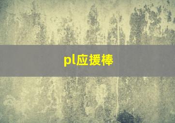 pl应援棒